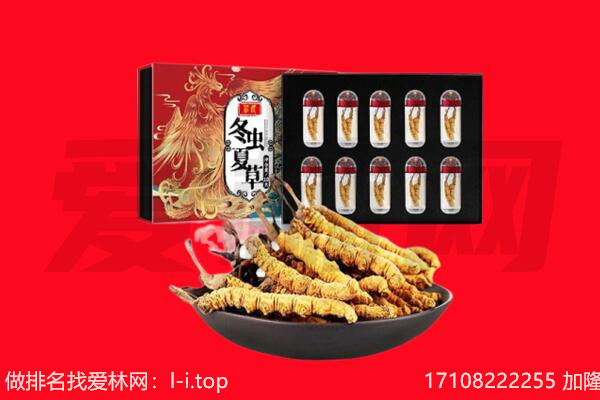 伊春嘉荫县回收虫草.jpg